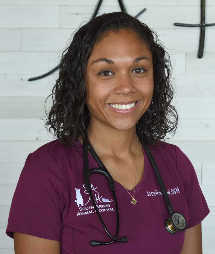 Dr. Jessica Noel, DVM